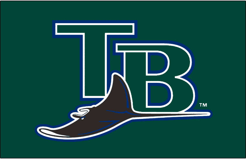 Tampa Bay Devil Rays 2001-2007 Jersey Logo fabric transfer